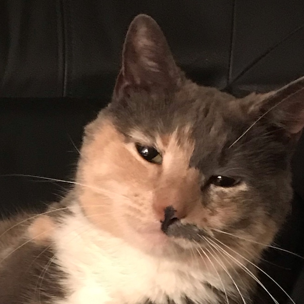 Meet your Posher, Kerry